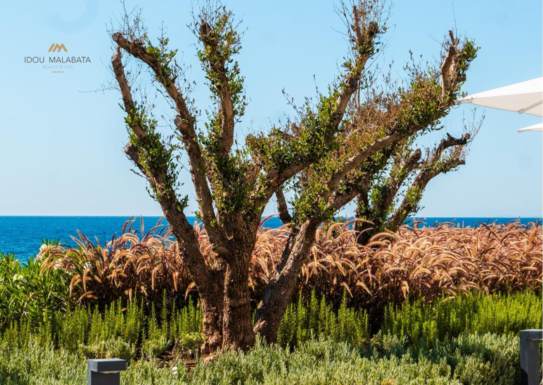 Idou Malabata Beach And Spa طنجة المظهر الخارجي الصورة